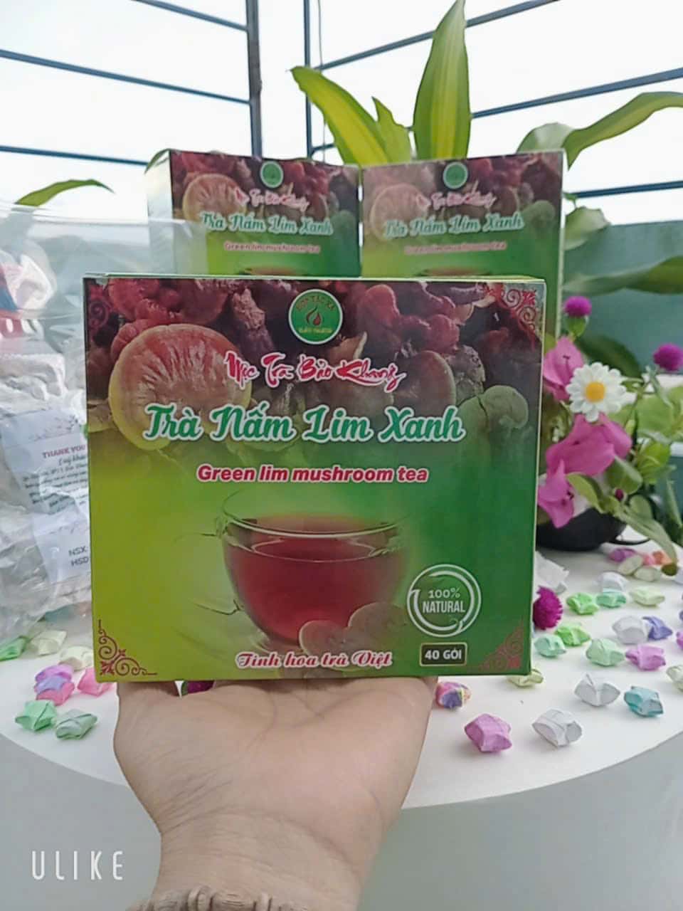 Trà Túi Lọc Nấm Lim Xanh Bảo Khang