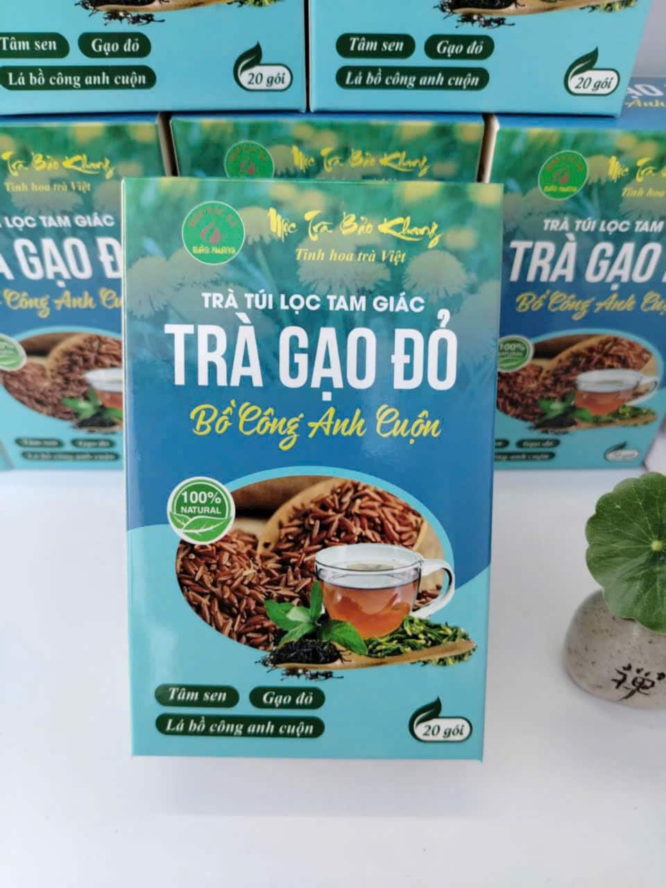 Trà gạo đỏ bồ công anh (2)
