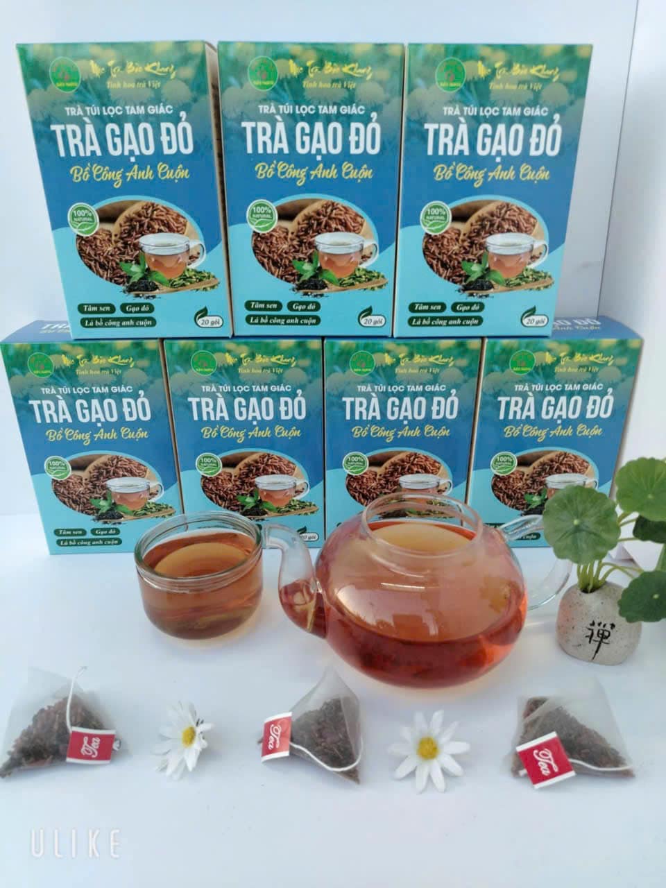 Trà gạo đỏ bồ công anh (3)