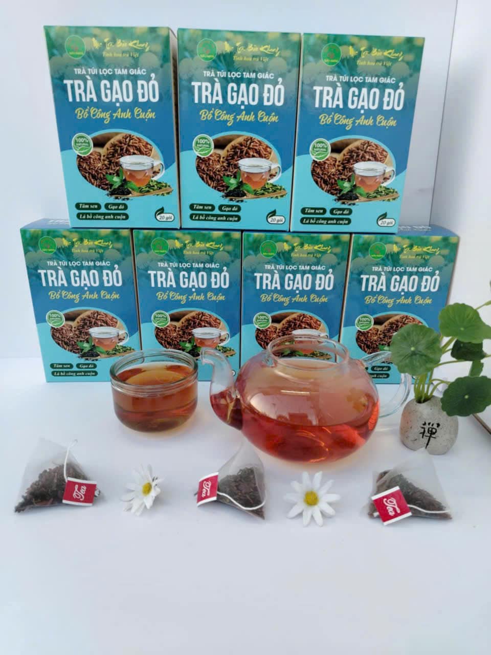 Trà gạo đỏ bồ công anh