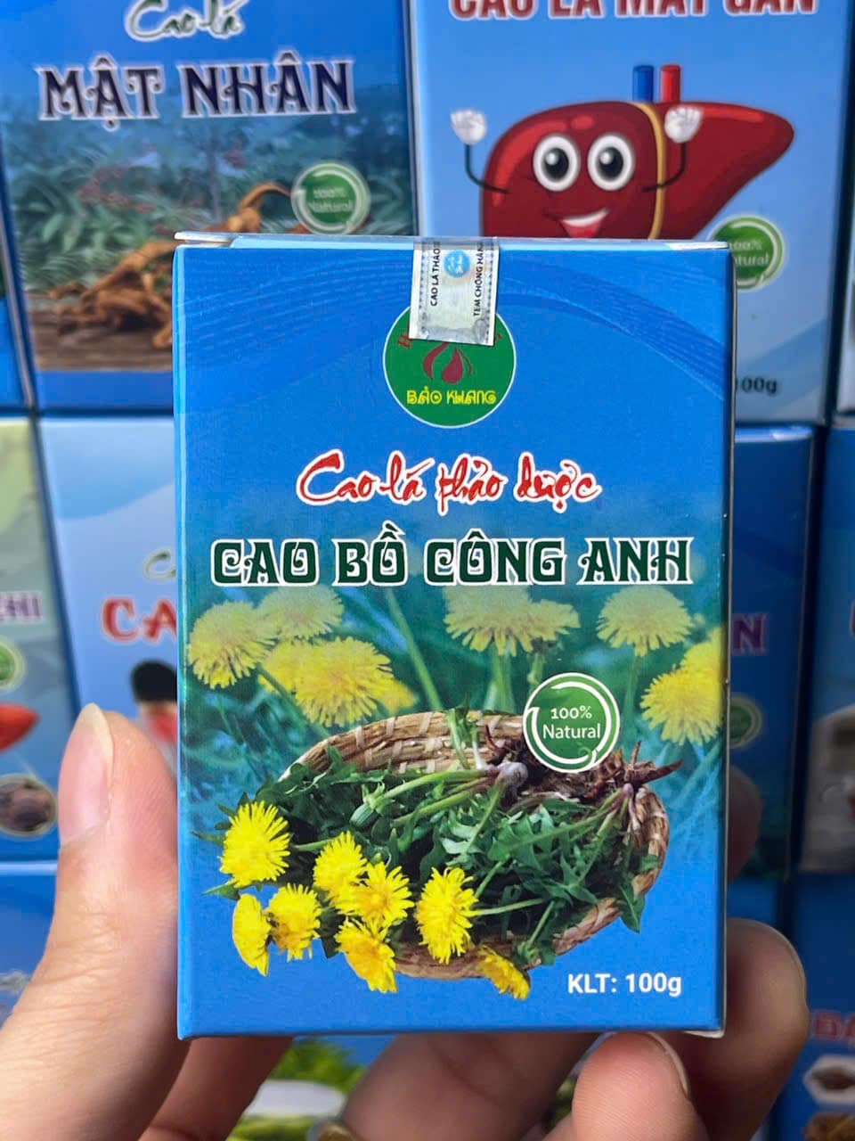 cao bồ công anh (2)