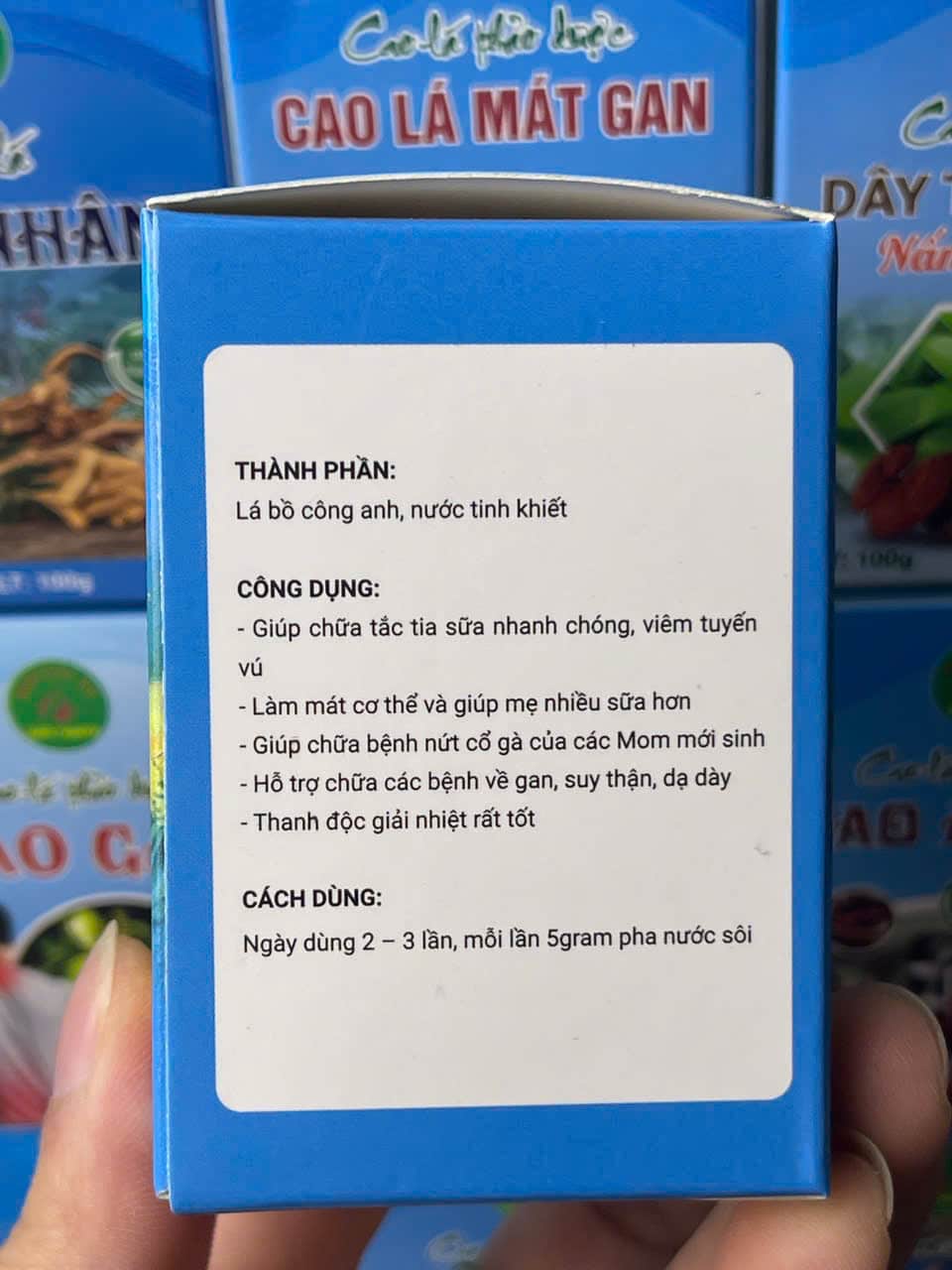 cao bồ công anh (3)