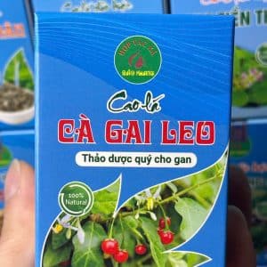 Cao Cà Gai Leo Bảo Khang