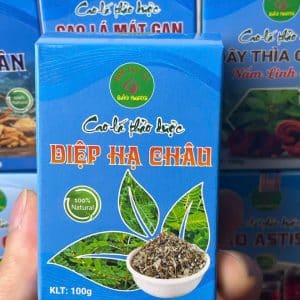 Cao Diệp Hạ Châu Bảo Khang