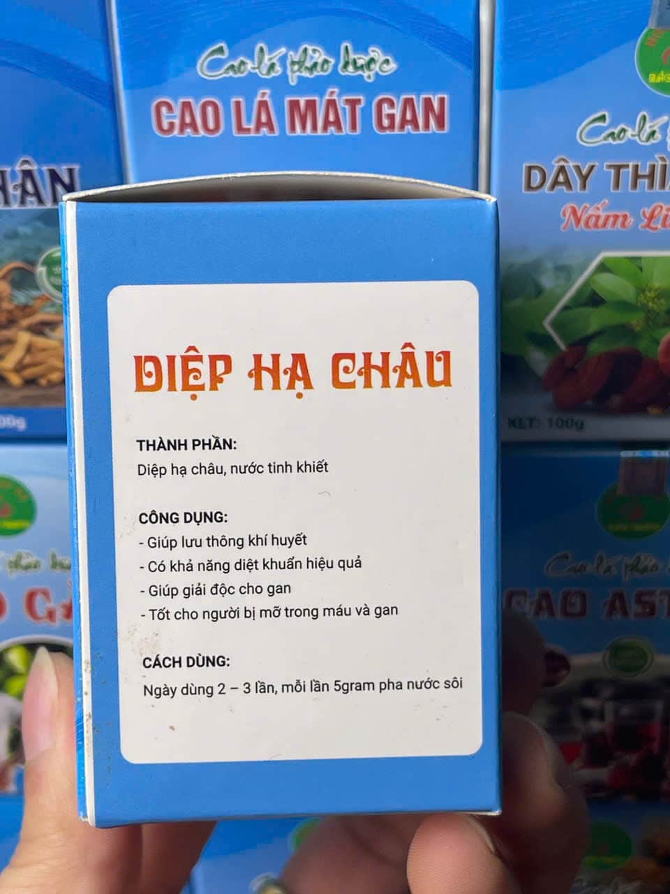 cao diệp hạ châu (3)