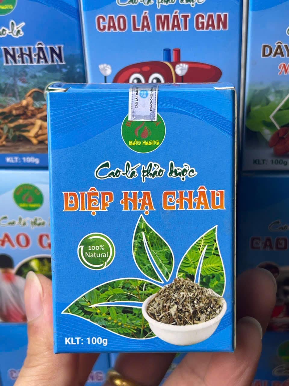 cao diệp hạ chau