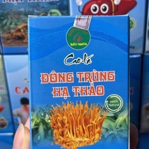 Cao Đông Trùng Hạ Thảo Bảo Khang