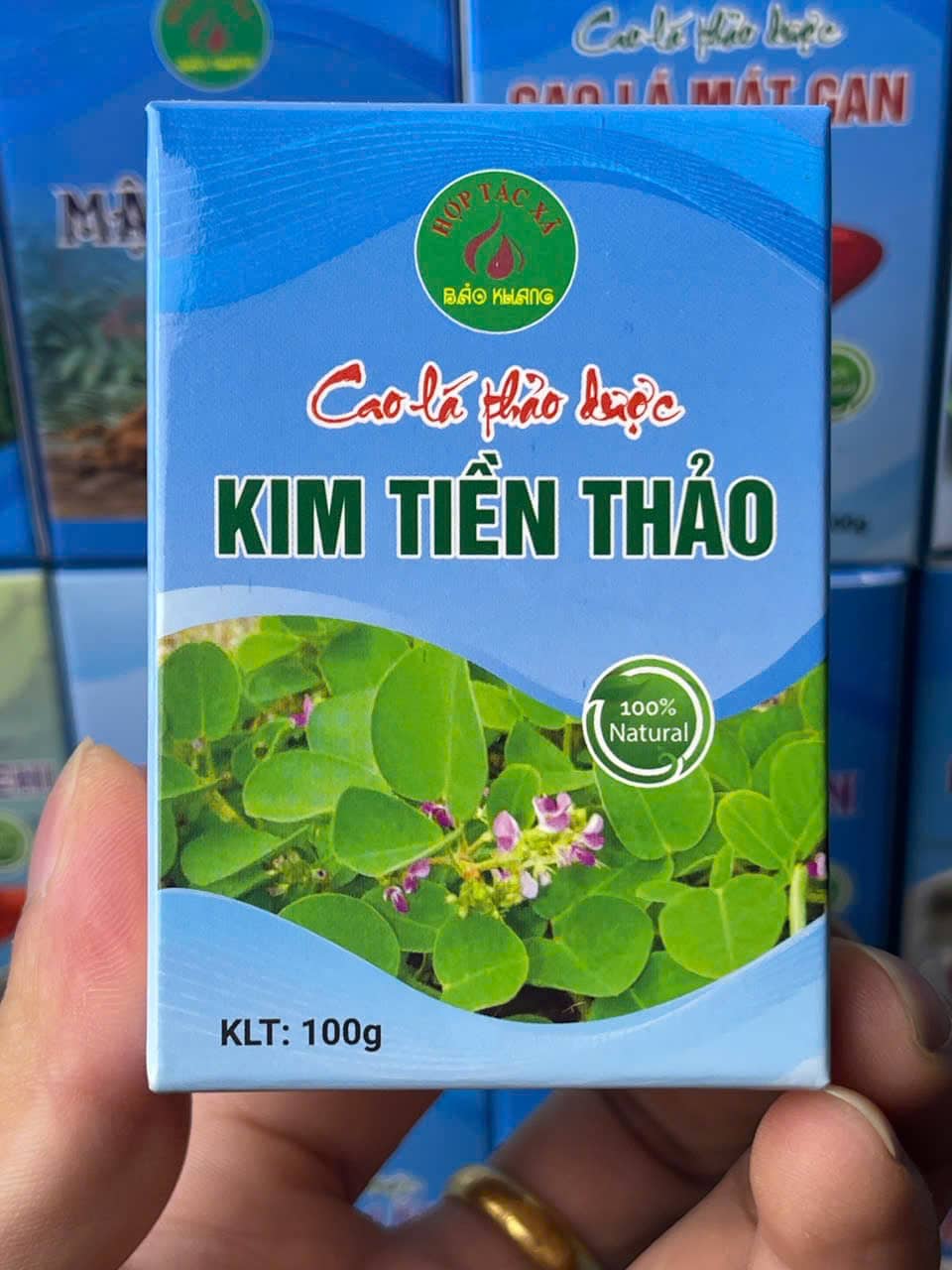 cao kim tiền thảo (2)