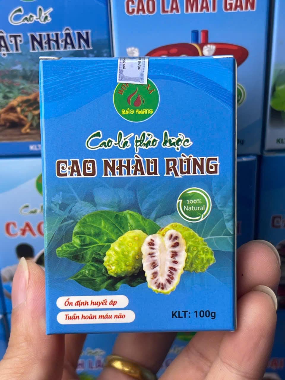 cao nhàu rừng (2)