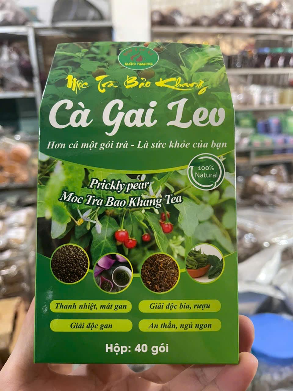 trà túi lọc cà gai leo 1