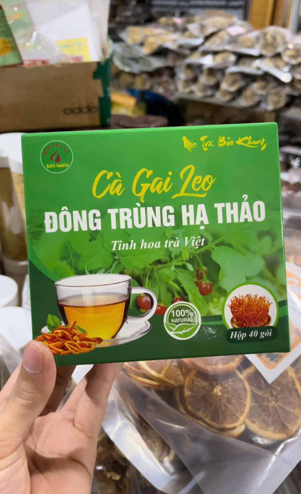 trà túi lọc cà gai leo đông trùng hạ thảo