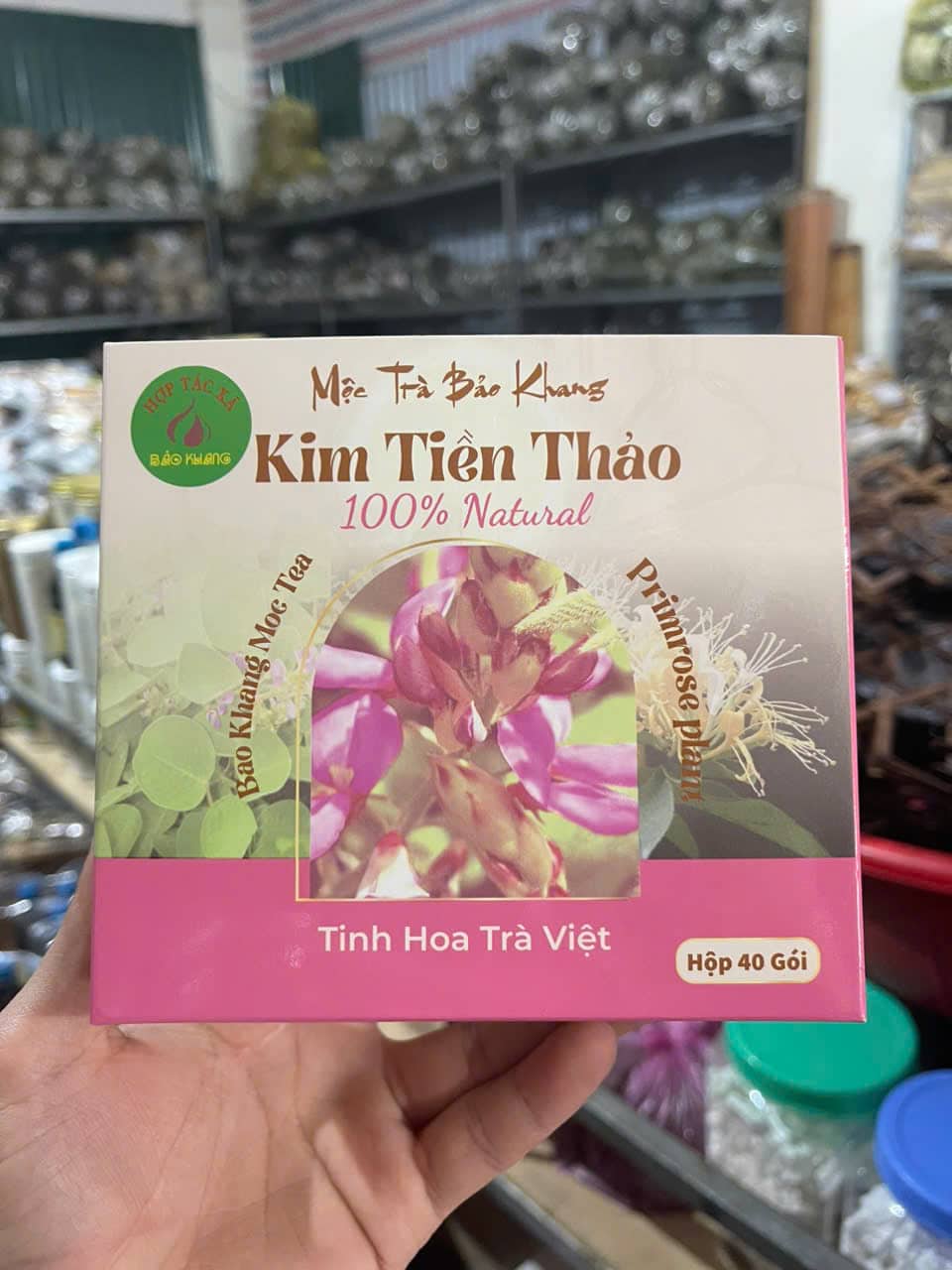 trà túi lọc kim tiền thảo