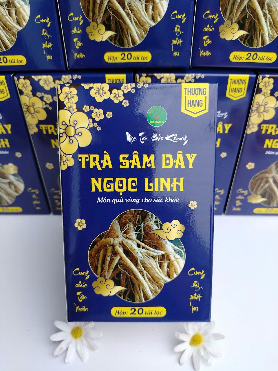 Trà túi lọc sâm dây ngọc linh (5)