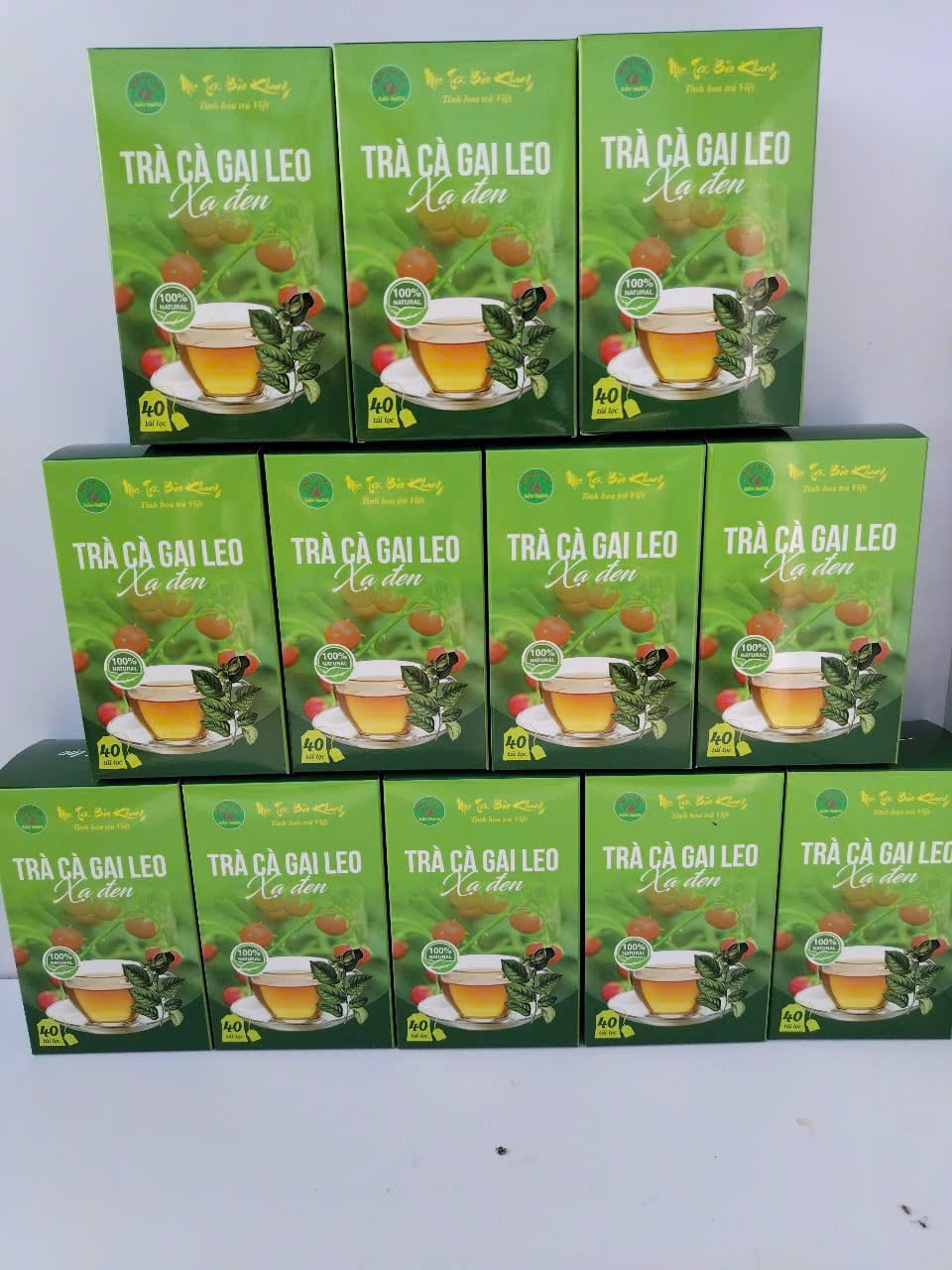 trà cà gai leo xạ đen 1