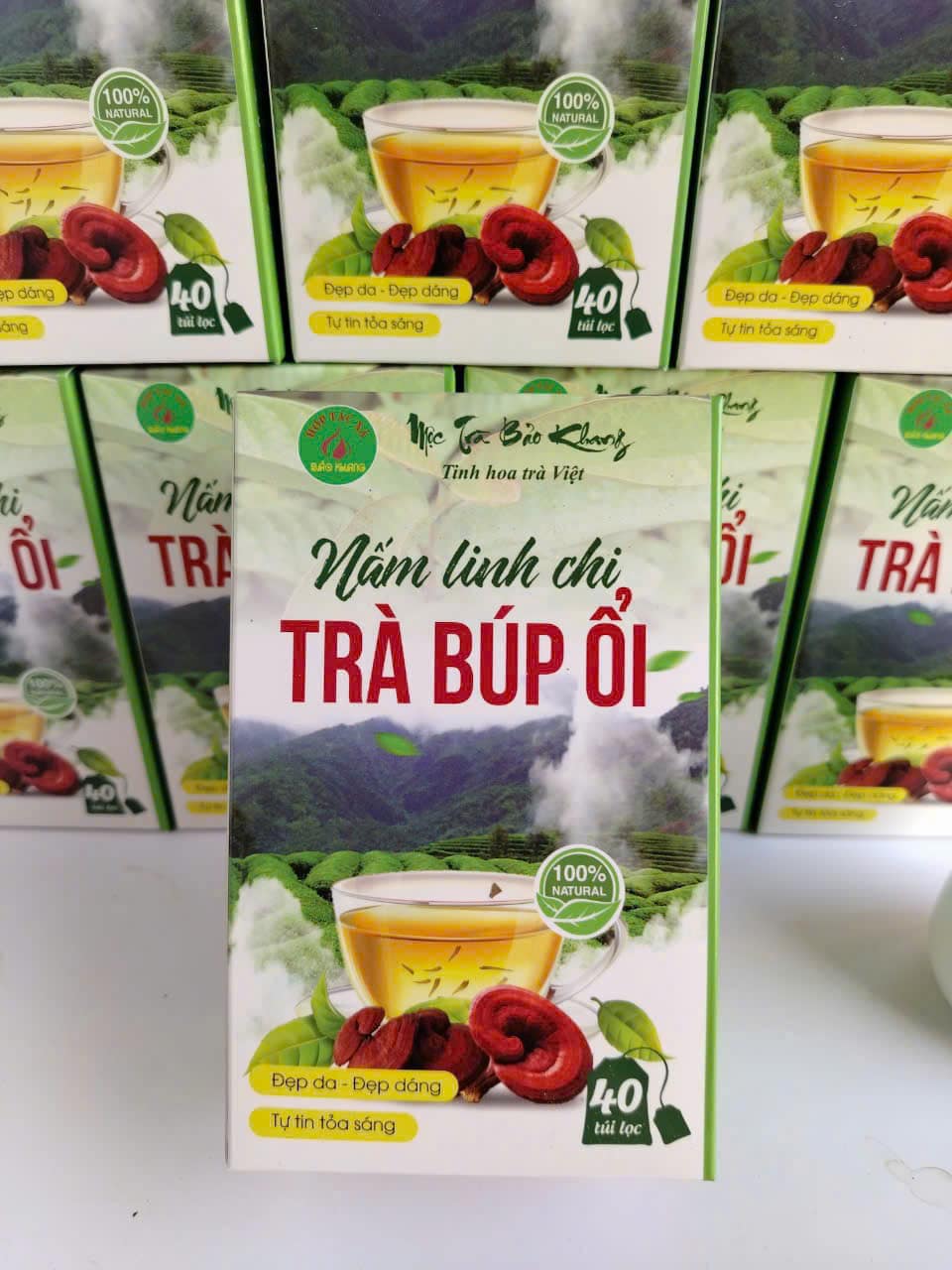 trà nấm linh chi búp ổi