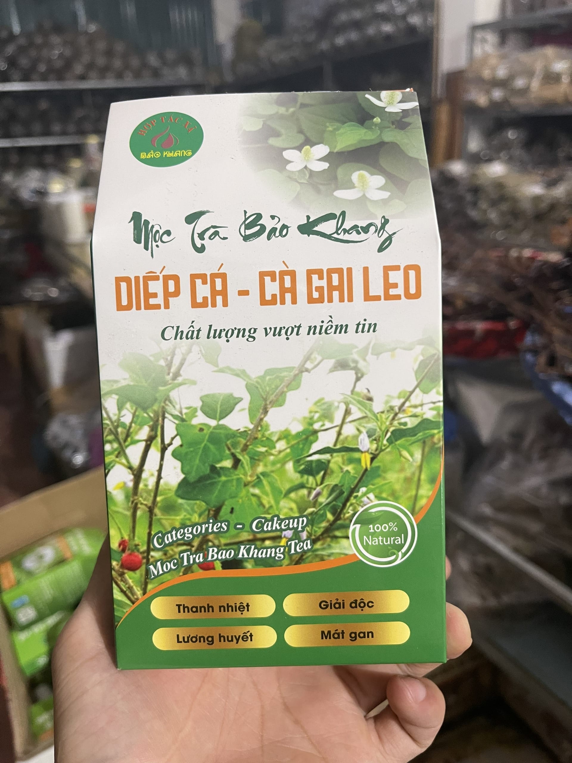 trà túi lọc diếp cá cà gai leo