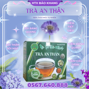 Trà Túi Lọc An Thận Bảo Khang