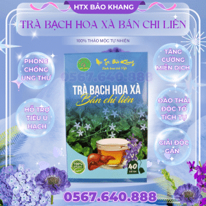 Trà Túi Lọc Bạch Hoa Xà Bán Chi Liên Bảo Khang