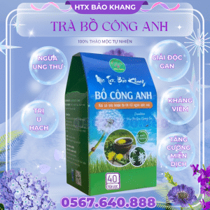 Trà Túi Lọc Bồ Công Anh Bảo Khang
