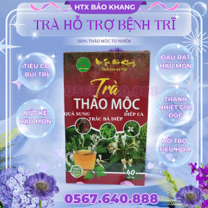 Trà Túi Lọc Bổ Trợ Tiêu Co Trĩ Bảo Khang