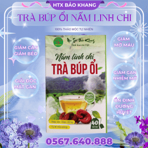 Trà Túi Lọc Búp Ổi Nấm Linh Chi Bảo Khang