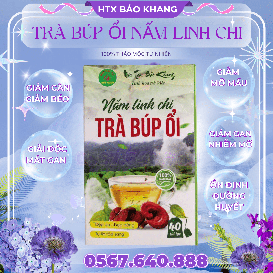 Trà Túi Lọc Búp Ổi Nấm Linh Chi Bảo Khang
