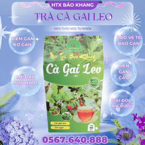 Trà Túi Lọc Cà Gai Leo Bảo Khang