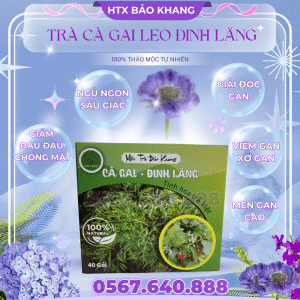 Trà Túi Lọc Cà Gai Leo Đinh lăng Bảo Khang