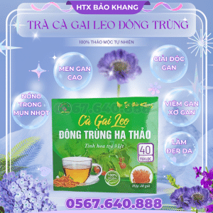 Trà Cà Gai Leo Đông Trùng Hạ Thảo