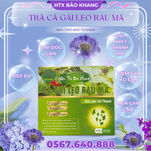 Trà Túi Lọc Cà Gai Leo Rau Má Bảo Khang