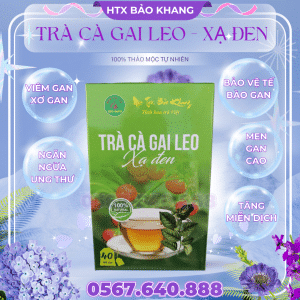 Trà Túi Lọc Cà Gai Leo Xạ Đen Bảo Khang