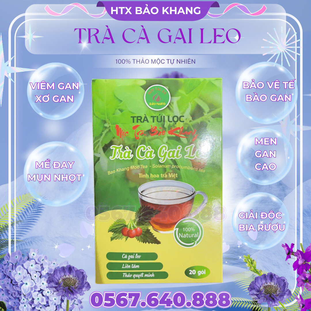 Trà Túi Lọc Cà Gai Leo Bảo Khang