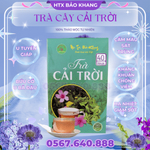 Trà Túi Lọc Cây Cải Trời Bảo Khang