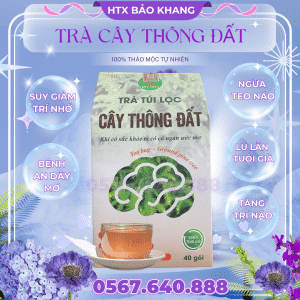 Trà Túi Lọc Cây Thông Đất Bảo Khang