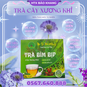 Trà Túi Lọc Bìm Bịp (Cây Xương Khỉ)