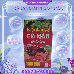 Trà Túi Lọc Cỏ Máu Bảo Khang