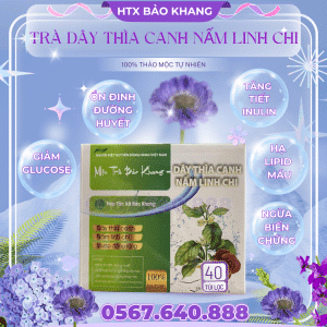 Trà Túi Lọc Dây Thìa Canh Nấm Linh Chi