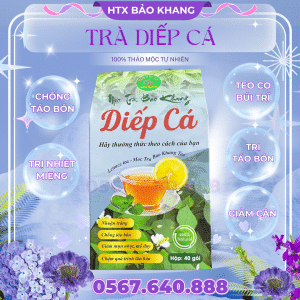 Trà Túi Lọc Diếp Cá Bảo Khang