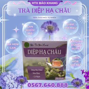 TRÀ TÚI LỌC DIỆP HẠ CHÂU BẢO KHANG