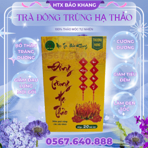 Trà Túi Lọc Đông Trùng Hạ Thảo