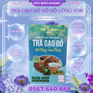 Trà Gạo Đỏ Bồ Công Anh Cuộn Bảo Khang