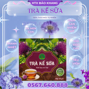 Trà Túi Lọc Kế Sữa Bảo Khang