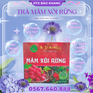 Trà Túi Lọc Mâm Xôi Rừng Bảo Khang