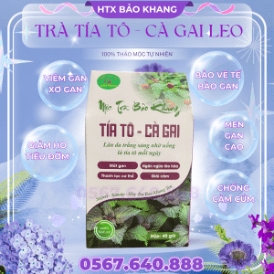 Trà Túi Lọc Cà Gai Leo Tía Tô Bảo Khang