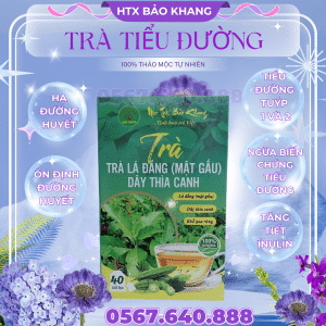 Trà Túi Lọc Tiểu Đường