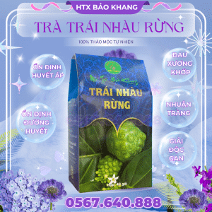 Trà Túi Lọc Trái Nhàu Rừng Bảo Khang