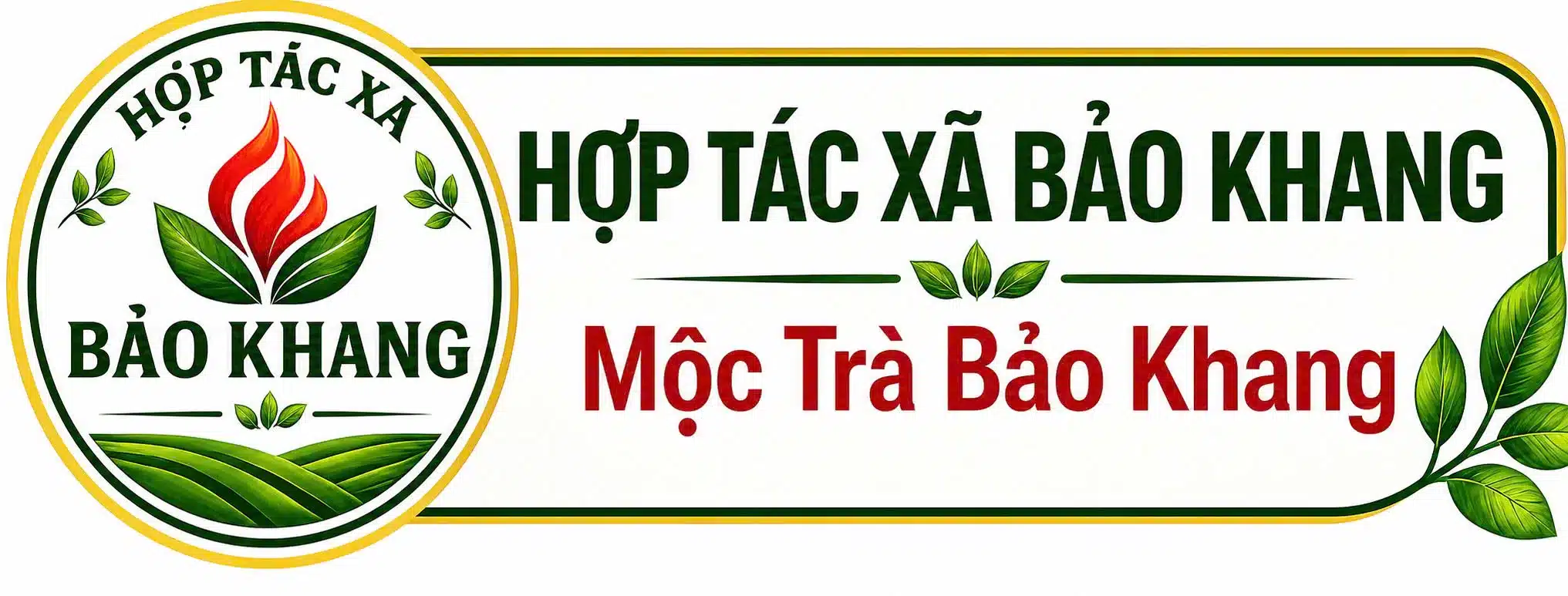 Hợp tác xã bảo khang – trà túi lọc bảo khang