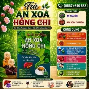 Trà Túi Lọc An Xoa Hồng Chi Bảo Khang