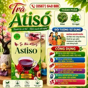 Trà Túi Lọc Atiso Bảo Khang