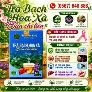 Trà Túi Lọc Bạch Hoa Xà Bán Chi Liên Bảo Khang